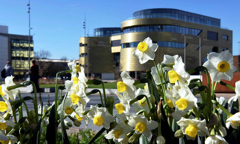 teeside-uni-50.jpg.txt